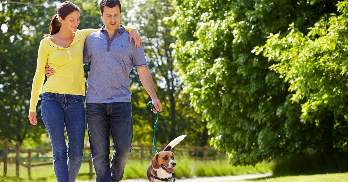 come recuperare energia velocemente come recuperare energia velocemente