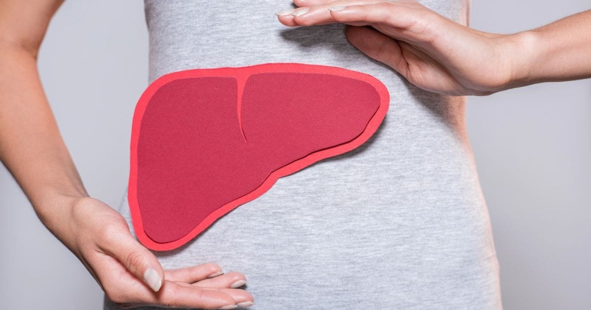 donna con un fegato disegnato a simbolo dei benefici del cardo mariano sul sistema del fegato