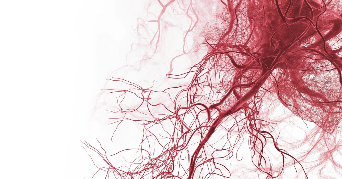 immagine dle microcircolo